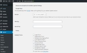 Wordpress Captcha Ekleme