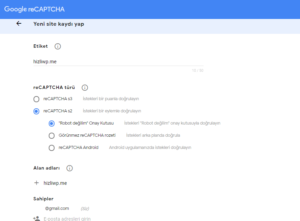 Wordpress Captcha Ekleme google recaptcha ayarlama