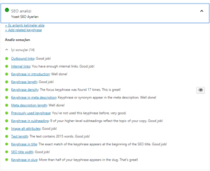 yoast seo hizliwp.net