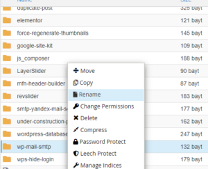 WebSitenizde Kritik Bir Hata Oluştu Hatası Dosya Adlandır
