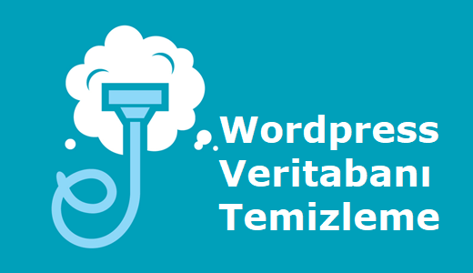 Wordpress Veritabanı Temizleme